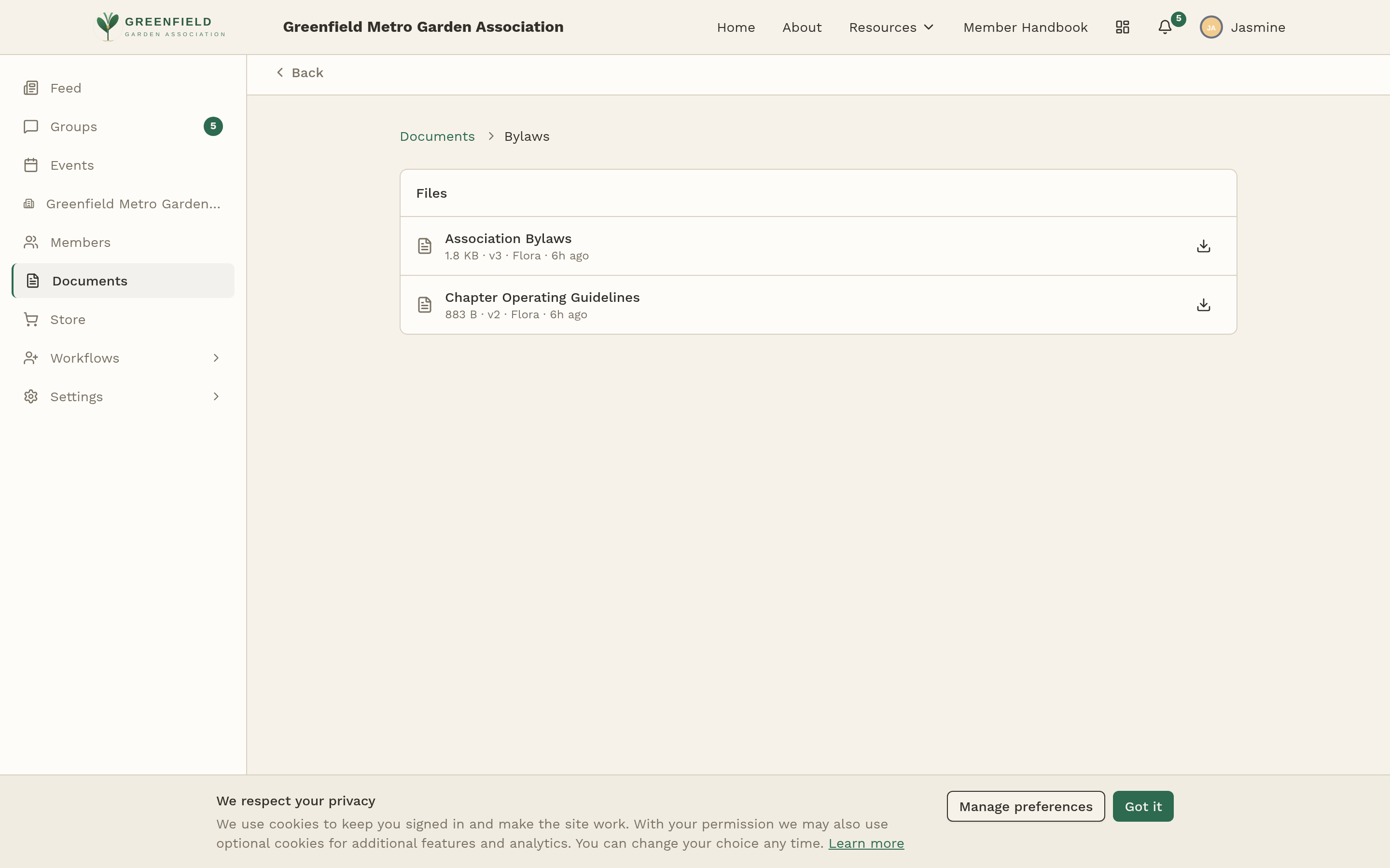 An open Documents folder showing a breadcrumb, a Files section, and two file rows (Association Bylaws and Chapter Operating Guidelines) each with size, version, uploader, time, and a download button.